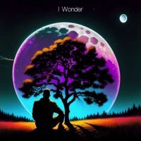 I Wonder NEW 3